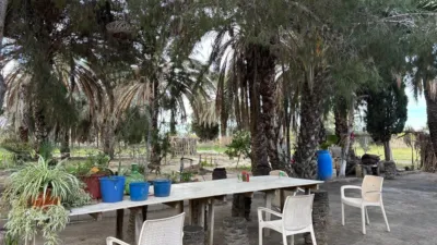 Finca rústica en Matola-La Foia-Las Bayas-La Marina photo 22