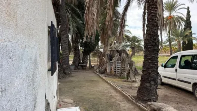 Finca rústica en Matola-La Foia-Las Bayas-La Marina photo 24