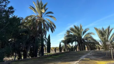 Casa – Elx / Elche, la Foia - Vista 3