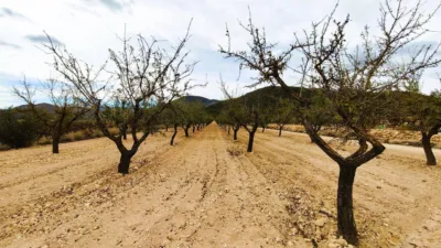 Finca rústica en Casa Los Molinos photo 6