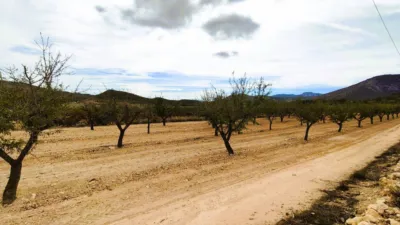 Finca rústica en Casa Los Molinos photo 7