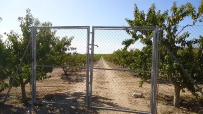Rustic farm in Yecla photo 2