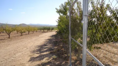 Rustic farm in Yecla photo 3
