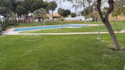 Apartment in Platja de Ponent photo 23