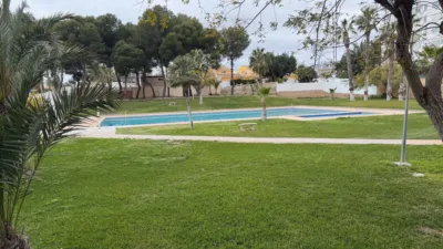 Apartment in Platja de Ponent photo 24