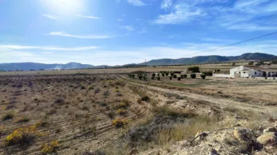 Rustic Finca in Abanilla photo 19