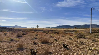 Rustic Finca in Abanilla photo 23