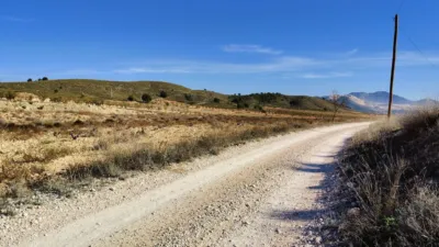 Rustic Finca in Abanilla photo 25