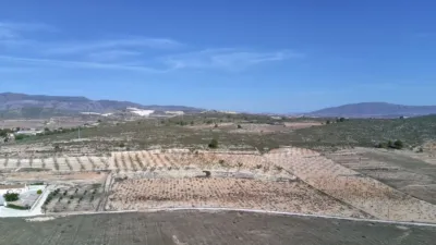 Rustic Finca in Abanilla photo 2