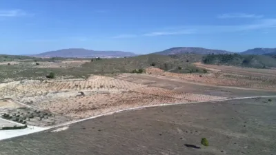 Rustic Finca in Abanilla photo 3