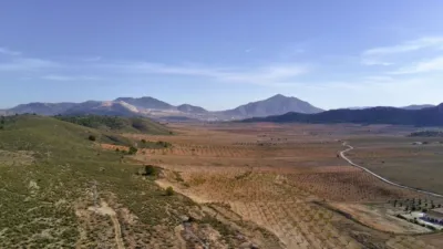 Rustic Finca in Abanilla photo 4