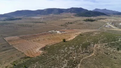 Rustic Finca in Abanilla photo 5