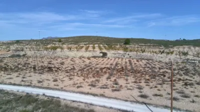Rustic Finca in Abanilla photo 6