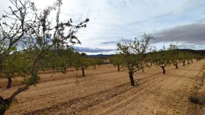 Finca rústica en Casa Los Molinos photo 5