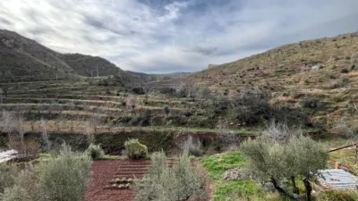 House in Arteas de Abajo photo 40