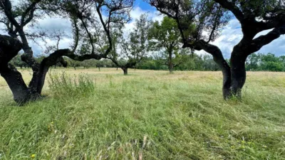 Chalet in Malpartida de Plasencia photo 24