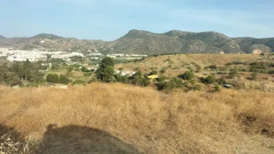 Rustic finca in Cártama photo 3