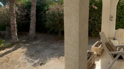 Chalet in Platja Muchavista photo 12