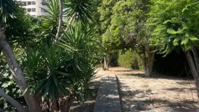 Chalet in Platja Muchavista photo 30