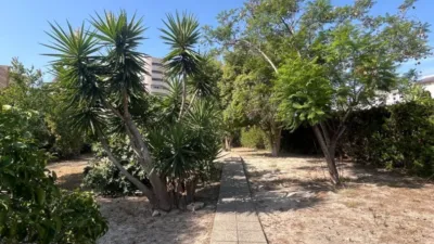Chalet in Platja Muchavista photo 31
