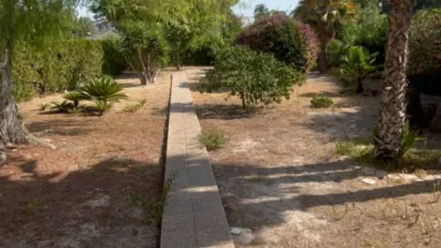 Chalet in Platja Muchavista photo 8