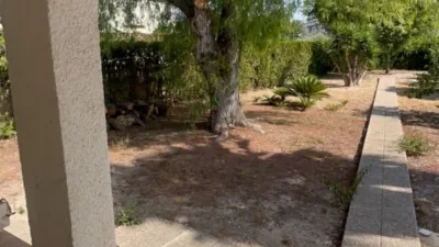 Chalet in Platja Muchavista photo 9