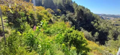 Rustic finca in Callosa d'en Sarrià photo 22