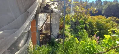 Rustic finca in Callosa d'en Sarrià photo 7