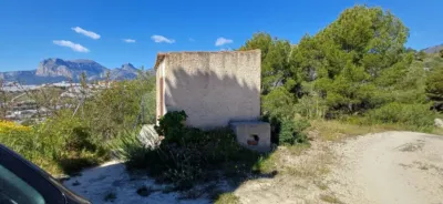 Rustic finca in Callosa d'en Sarrià photo 8