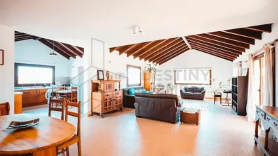 Chalet in Lajares photo 3