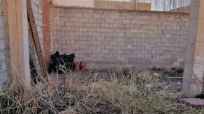 House in Turre photo 11