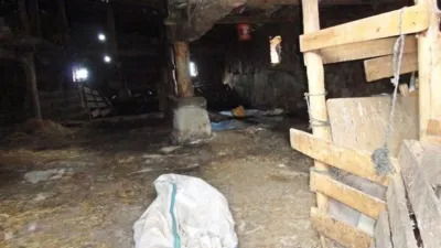 House in Hacinas photo 9