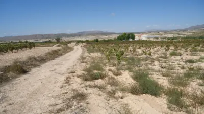 Rustic farm in Jumilla photo 4