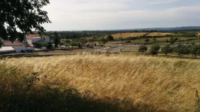Finca rústica en venta en Malpartida de Plasencia - Vista 5