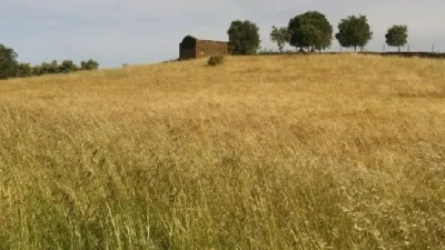Finca rústica en venta en Malpartida de Plasencia - Vista 6