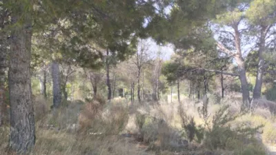 Terreno en venta en Urbanización Golf Bahía - Vista 5