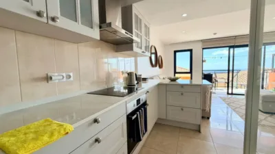 Duplex in Barranco de La Torre photo 47