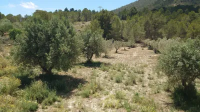 Terreno en venta en Calle Cremats, Número 84 - Vista 2