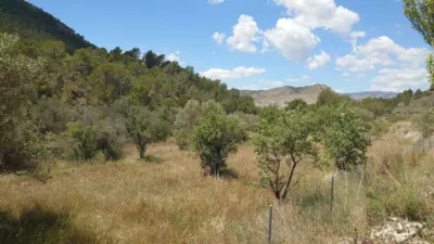 Terreno en venta en Calle Cremats, Número 84 - Vista 4
