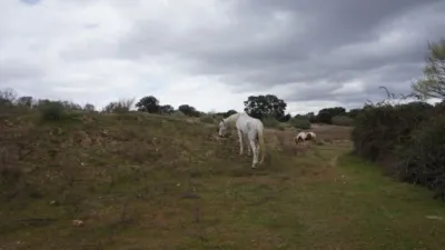 Finca rústica en venta en Chapinería, Chapinería de 125.000 €