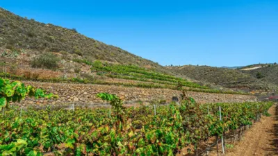 Rustic Finca in La Sabinita photo 17