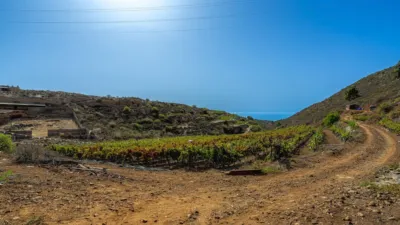 Rustic Finca in La Sabinita photo 2