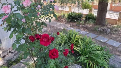 Chalet in Vallirana photo 48