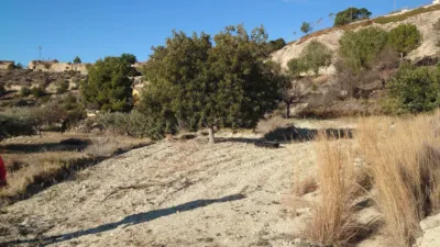 Terreno en venta en Relleu - Vista 3