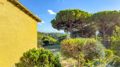 Chalet in Canyelles-La Montgoda photo 52