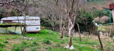 Finca rústica en venta en Oriñón-Allendelagua, Oriñón-Allendelagua (Castro Urdiales) de 39.900 €