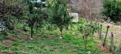 Finca rústica en venta en Oriñón-Allendelagua, Oriñón-Allendelagua (Castro Urdiales) de 39.900 €