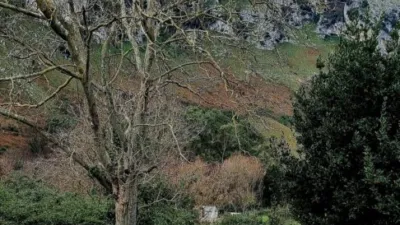 Finca rústica en venta en Oriñón-Allendelagua, Oriñón-Allendelagua (Castro Urdiales) de 39.900 €