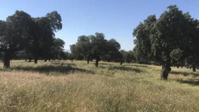 Rustic farm in Plasencia photo 3