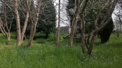Chalet in Parroquias photo 8